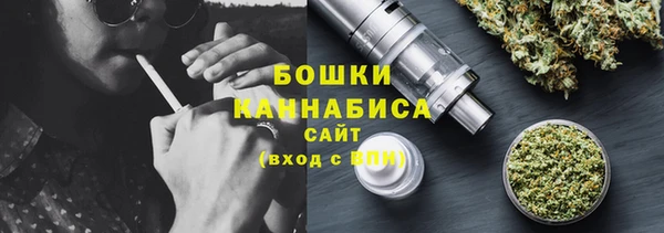 шишки Аркадак