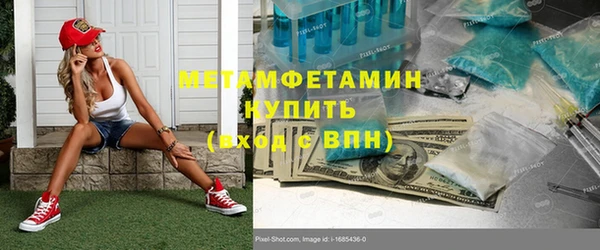 шишки Аркадак